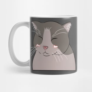 Smiling cat filter Mug